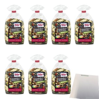 Hofgut Kürbiskern-Nuss-Mix VPE (7x200g Beutel) + usy Block