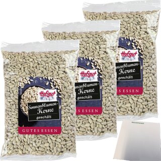 Hofgut Sonnenblumenkerne VPE (5x200g Beutel) + usy Block