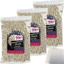 Hofgut Sonnenblumenkerne VPE (5x200g Beutel) + usy Block