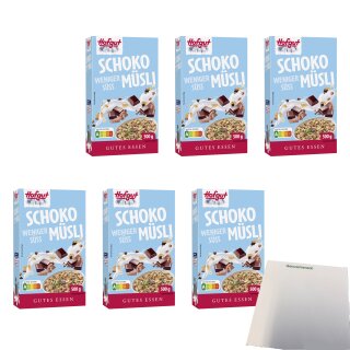 Hofgut Müsli Schoko wenig süß VPE (6x500g Packung) + usy Block