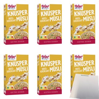 Hofgut Müsli Knusper Nuss Krokant VPE (6x500g Packung) + usy Block