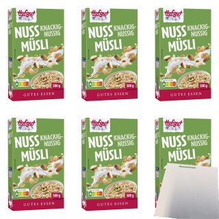 Hofgut Müsli Nuss VPE (6x500g Packung) + usy Block