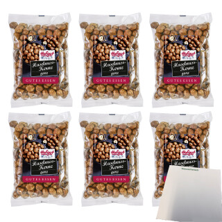 Hofgut Haselnusskerne VPE (6x100g Beutel) + usy Block