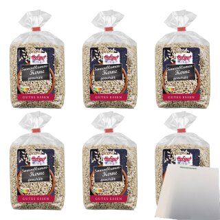 Hofgut Sonnenblumenkerne VPE (6x500g Beutel) + usy Block