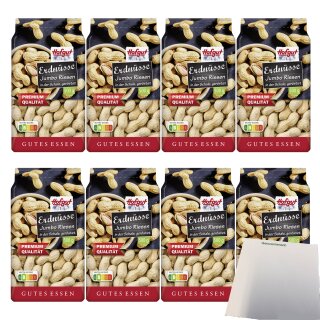 Hofgut Erdnüsse in Schale VPE (8x500g Beutel) + usy Block