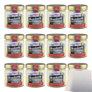 Hofgut Rapshonig VPE (12x250g Glas) + usy Block