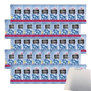 Hofgut Eisbonbons VPE (40x150g Beutel) + usy Block