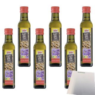 Hofgut Leinöl VPE (6x250ml Flasche) + usy Block