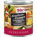 Hofgut Mandarin-orangen VPE (12x314ml Dose) + usy Block