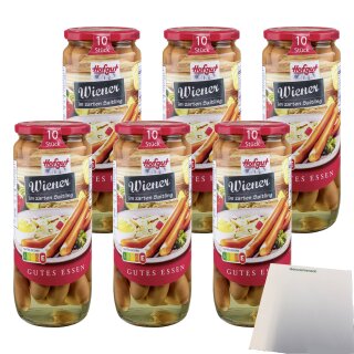 Hofgut Wiener Würstchen VPE (6x10/500g Glas) + usy Block