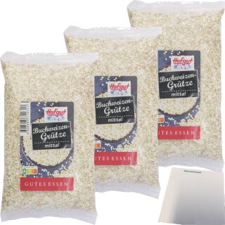 Hofgut Buchweizengrütze 3er Pack (3x250g Beutel) + usy Block