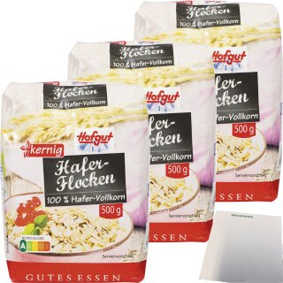 Hofgut Haferflocken kernig 3er Pack (3x500g Packung) + usy Block
