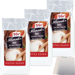 Hofgut Meersalz fein 3er Pack (3x500g Beutel) + usy Block