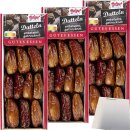 Hofgut Datteln im Ravier 3er Pack (3x200g Schale) + usy...