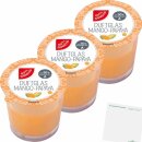 G&G Duftglas Mango Papaya 3er Pack (3x1Stk Glas) +...