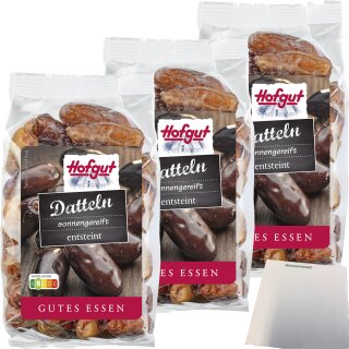 Hofgut Datteln Beutel 3er Pack (3x200g Beutel) + usy Block