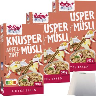 Hofgut Müsli Apfel-Zimt 3er Pack (3x500g Packung) + usy Block