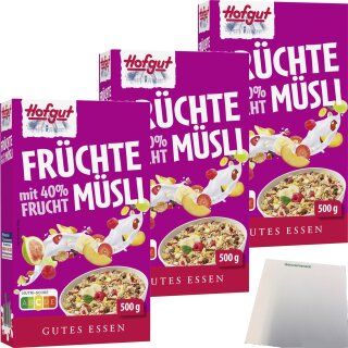 Hofgut Müsli Früchte 3er Pack (3x500g Packung) + usy Block