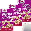 Hofgut Müsli Früchte 3er Pack (3x500g Packung)...