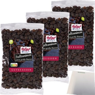 Hofgut Sultaninen ungeschwefelt 3er Pack (3x200g Beutel) + usy Block