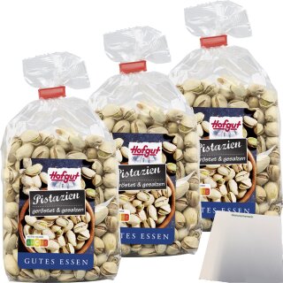 Hofgut Pistazien g+g 3er Pack (3x200g Beutel) + usy Block