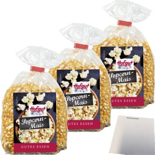 Hofgut Popcorn Mais 3er Pack (3x500g Beutel) + usy Block