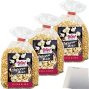 Hofgut Popcorn Mais 3er Pack (3x500g Beutel) + usy Block