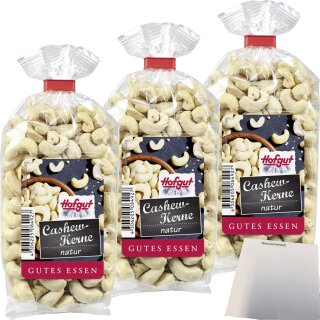 Hofgut Cashewkerne natur 3er Pack (3x200g Beutel) + usy Block