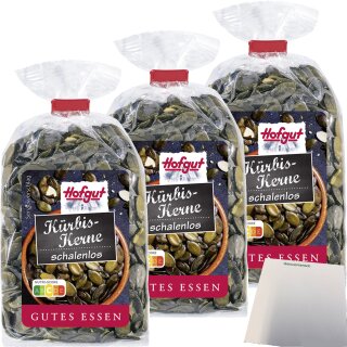 Hofgut Kürbiskerne 3er Pack (3x150g Beutel) + usy Block