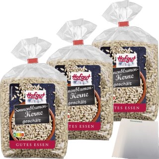 Hofgut Sonnenblumenkerne 3er Pack (3x500g Beutel) + usy Block