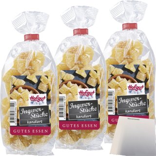 Hofgut Ingwer 3er Pack (3x200g Beutel) + usy Block