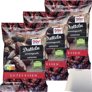 Hofgut Datteln 3er Pack (3x200g Beutel) + usy Block