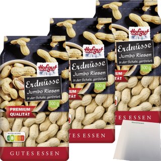 Hofgut Erdnüsse in Schale 3er Pack (3x500g Beutel) + usy Block