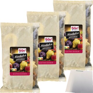 Hofgut Mischobst 3er Pack (3x500g Packung) + usy Block