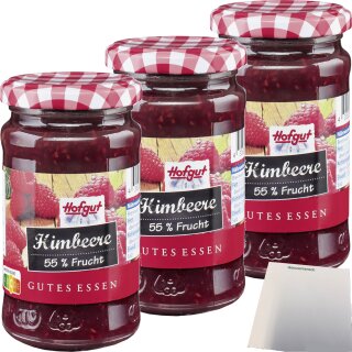 Hofgut Himbeere Fruchtaufstrich 3er Pack (3x250g Glas) + usy Block