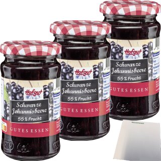 Hofgut Schwarz Johannisbeere Fruchtaufstrich 3er Pack (3x250g Glas) + usy Block