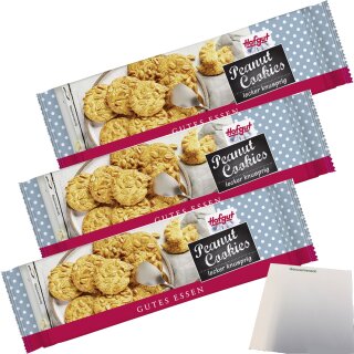 Hofgut Erdnussplätzchen 3er Pack (3x150g Packung) + usy Block