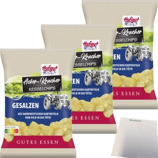 Hofgut Chips Acker-Kracher gesalzen 3er Pack (3x120g Beutel) + usy Block