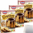 Dr. Oetker Gugelhupf Rührkuchen Backmischung 3er...