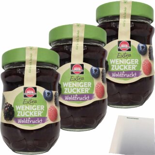 Schwartau Extra Weniger Zucker Waldfrucht 3er Pack (3x300g Glas) + usy Block