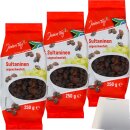 Jeden Tag Sultaninen 3er Pack (3x250g Packung) + usy Block