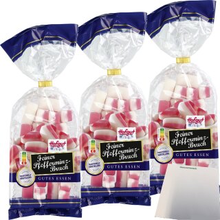 Hofgut Pfefferminz-Bruch 3er Pack (3x200g Beutel) + usy Block
