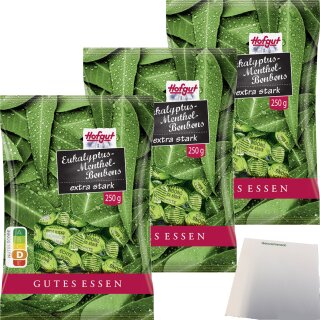 Hofgut Eukalyptus Bonbon 3er Pack (3x250g Beutel) + usy Block