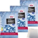Hofgut Eisbonbons 3er Pack (3x150g Beutel) + usy Block