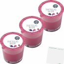 G&G Duftglas Beere Duftkerze 3er Pack (3x1Stk Glas) +...