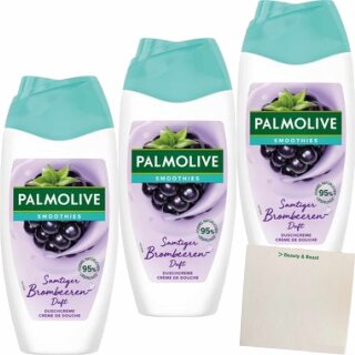 Palmolive DG Smoothies Blackberry 3er Pack (3x250ml Flasche) + usy Block