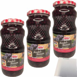 Hofgut Heidelbeeren 3er Pack (3x580ml Glas) + usy Block