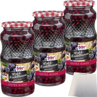 Hofgut Heidelbeeren 3er Pack (3x580ml Glas) + usy Block