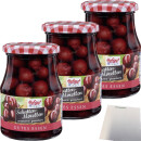 Hofgut Schattenmorellen 3er Pack (3x370ml Glas) + usy Block