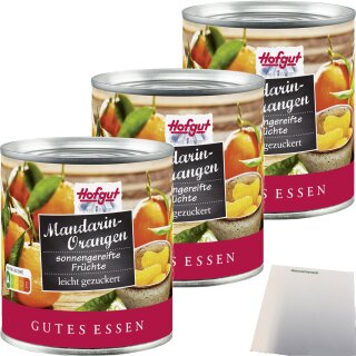 Hofgut Mandarin-Orangen 3er Pack (3x314ml Dose) + usy Block